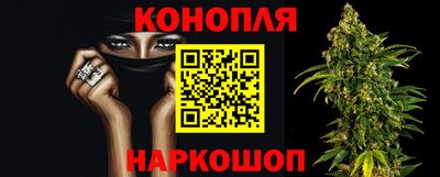 сатива Кизилюрт