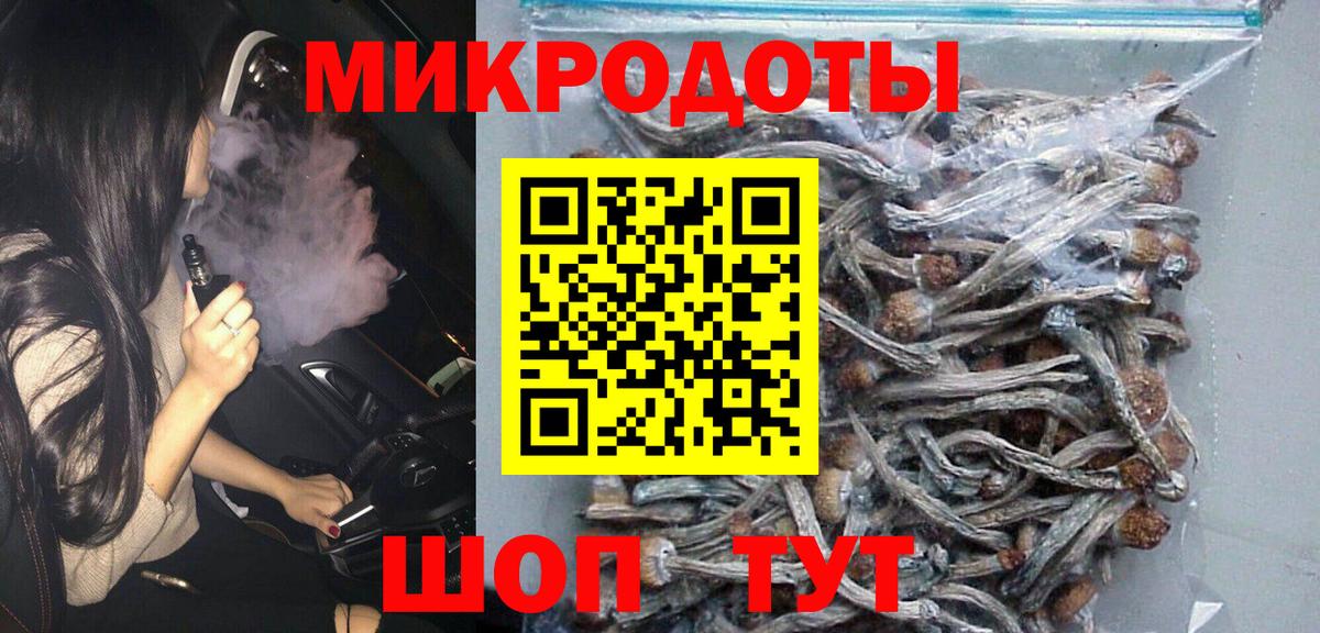 Галлюциногенные грибы Psilocybe Беслан